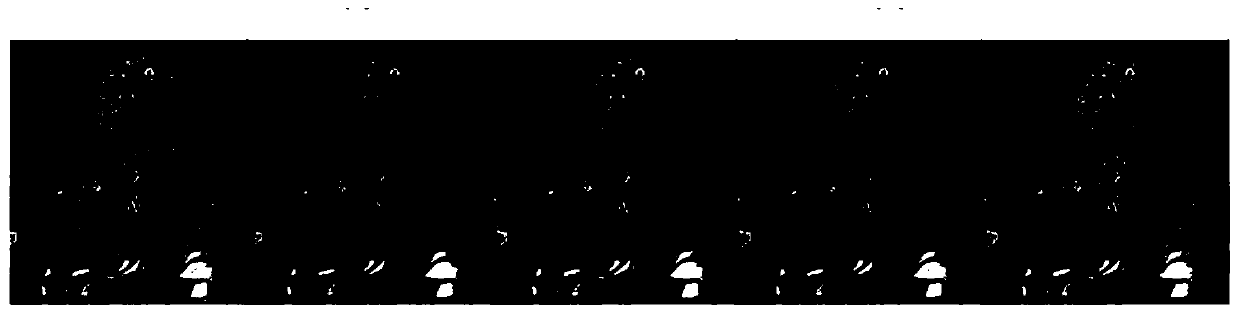 Multi-view three-dimensional point set recovery method based on monocular camera