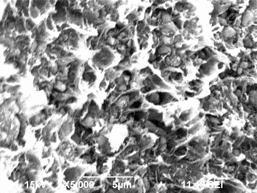 Preparation method of hydroxyapatite/polylactic acid composite material