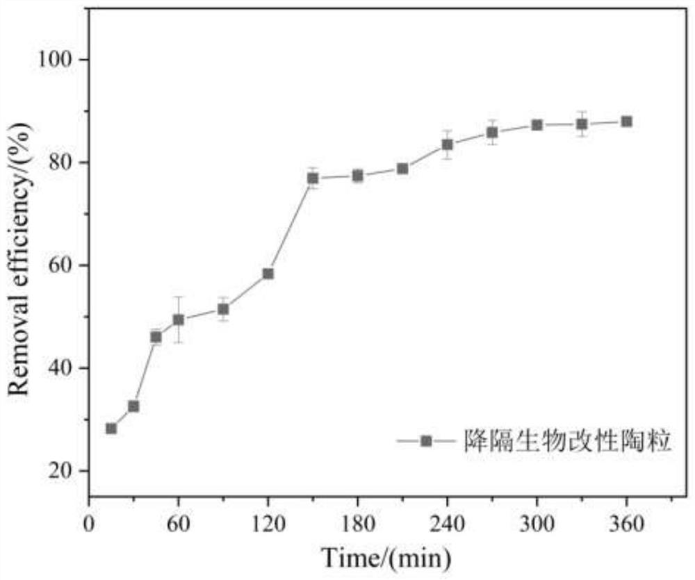 Cadmium-reducing biological modified ceramsite and preparation method thereof