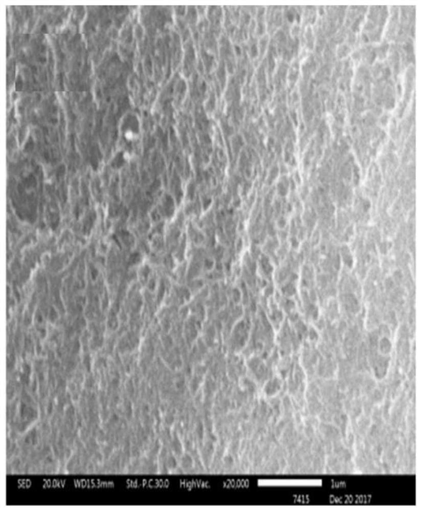 Carbon nanotube/polypyrrole composite fiber and its preparation method and its application in transistor sensors