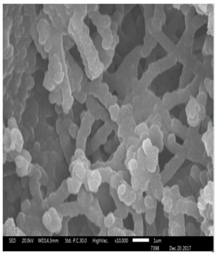 Carbon nanotube/polypyrrole composite fiber and its preparation method and its application in transistor sensors