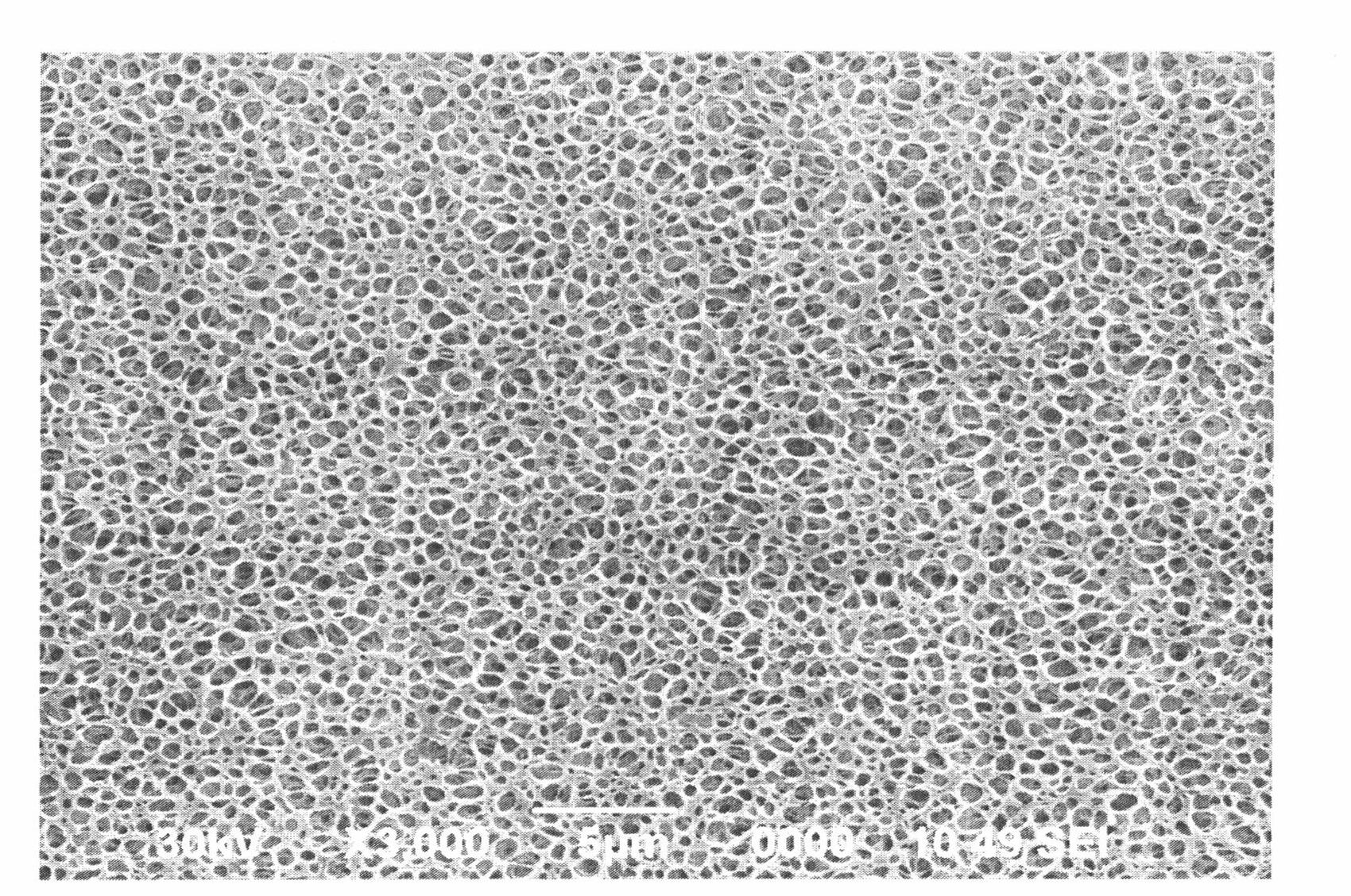 Porous membrane and preparation method thereof