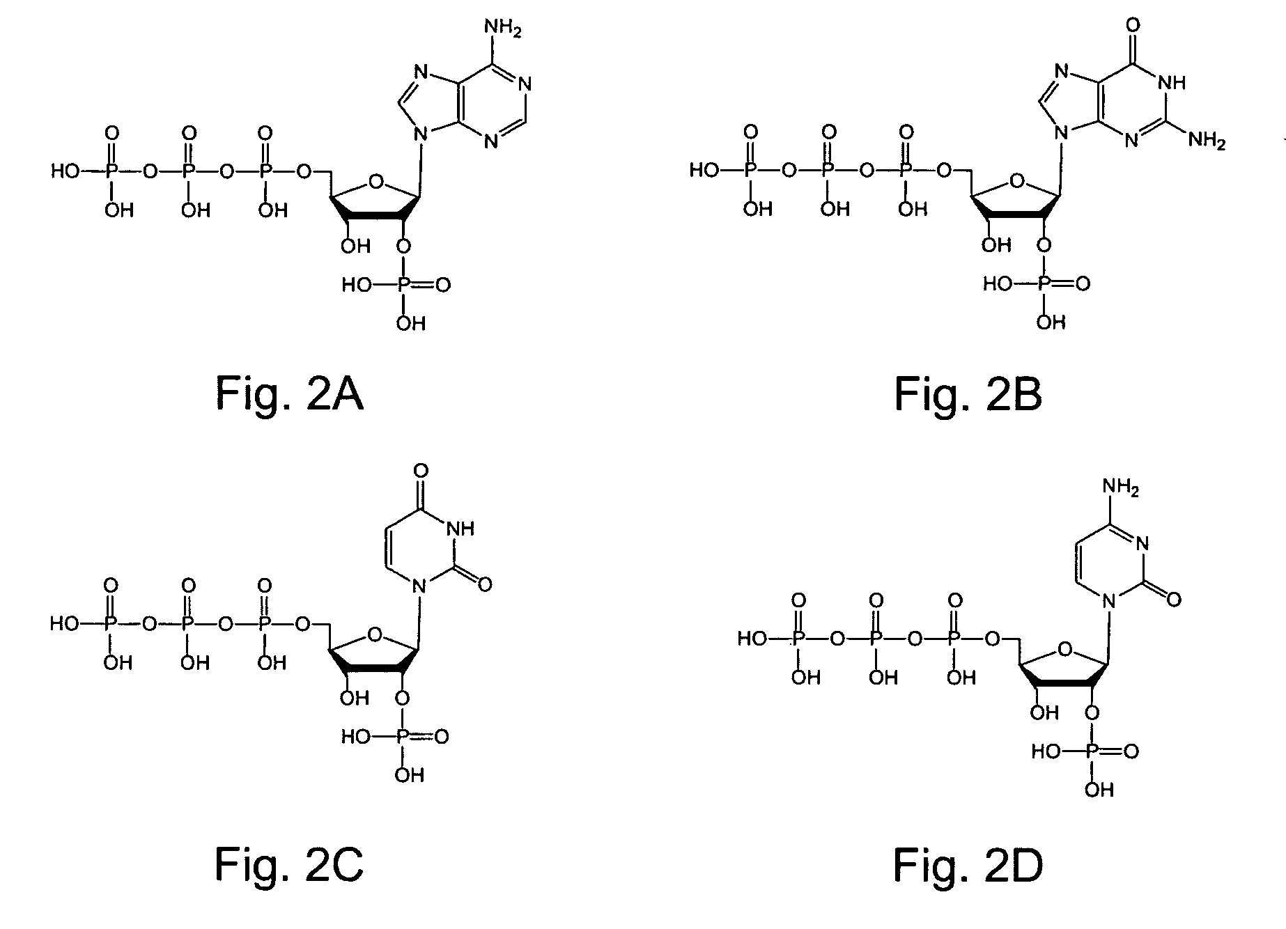 2′-terminator related pyrophosphorolysis activated polymerization