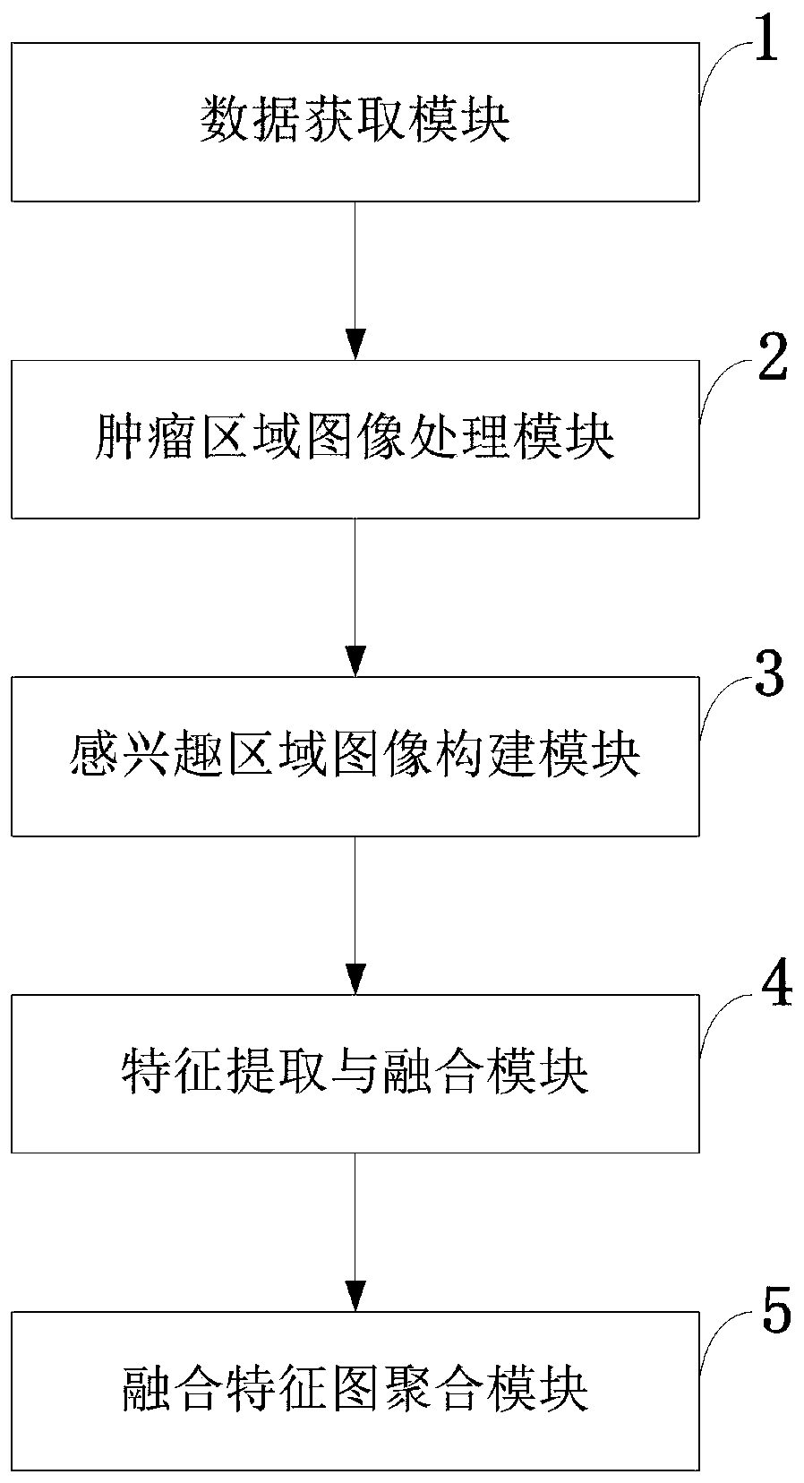 Dynamic enhanced magnetic resonance imaging processing method and system, storage medium and terminal