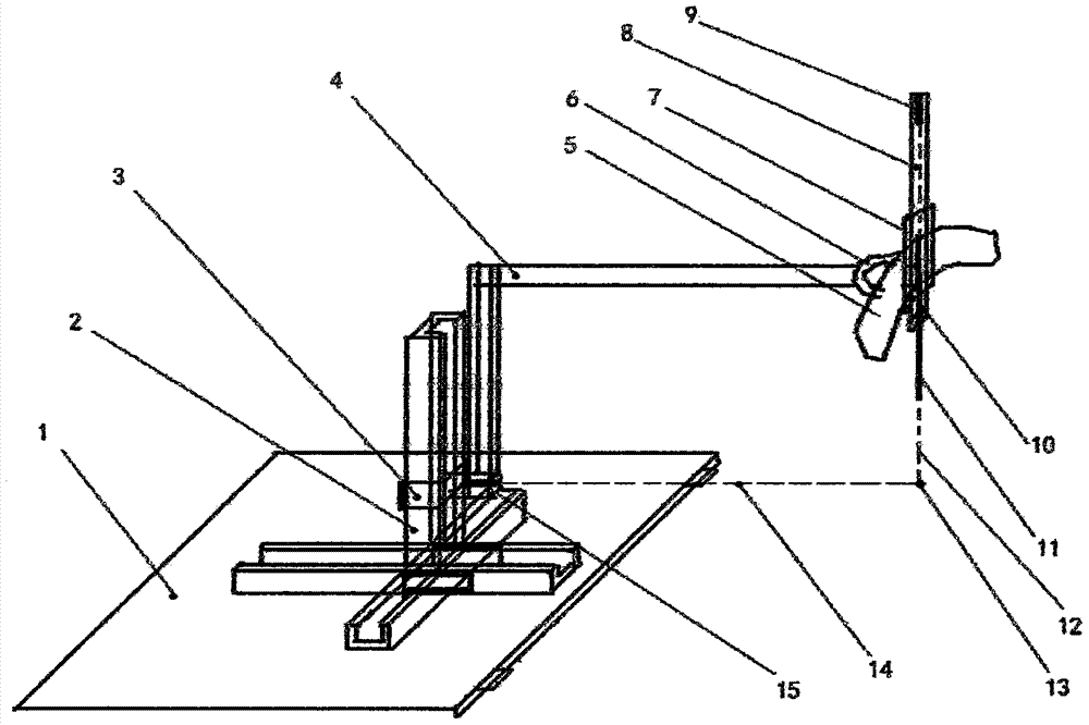 Concentric tumor located puncture apparatus