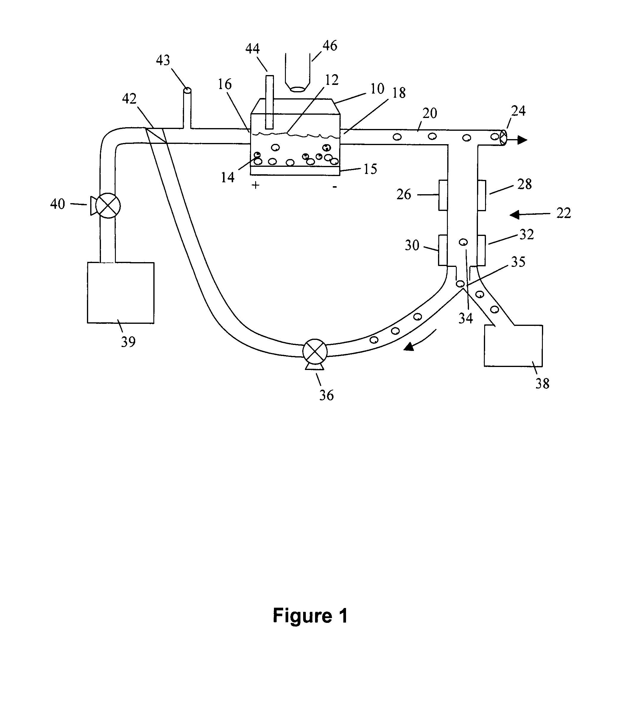 Cell sorter and culture system