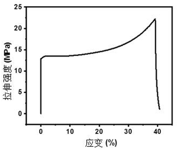 Photocuring 3D printing preparation method of degradable meniscus scaffold