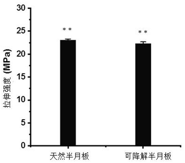 Photocuring 3D printing preparation method of degradable meniscus scaffold