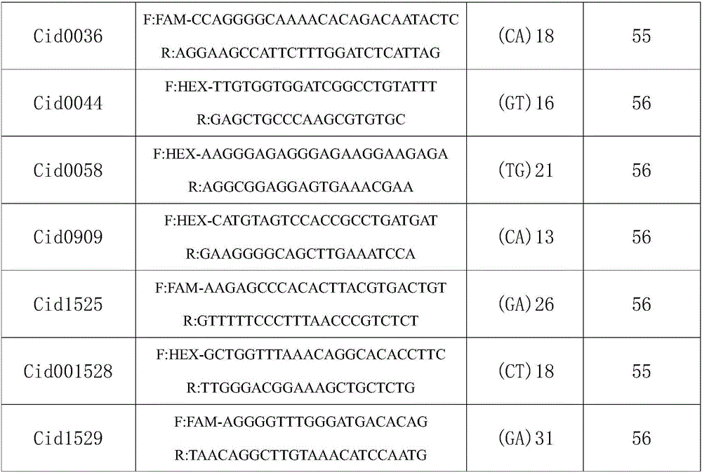 Fish growth and multiple resistance property integrated breeding and verification method