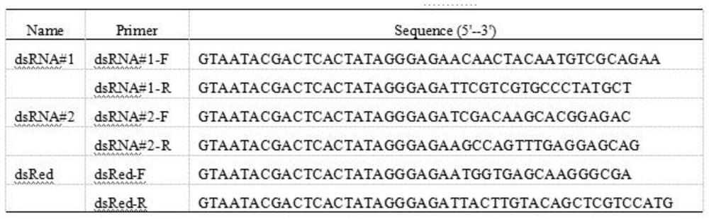 A method for molecular cloning and identification of silkworm genes