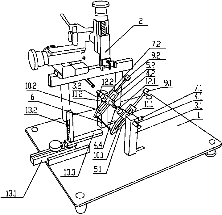 Stereotaxic four-point pigeon brain localization device and operation method thereof