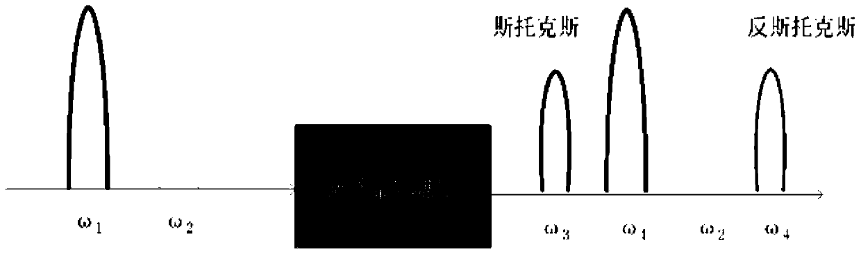 Multi-carrier optical signal generation device and method based on doped echo squash