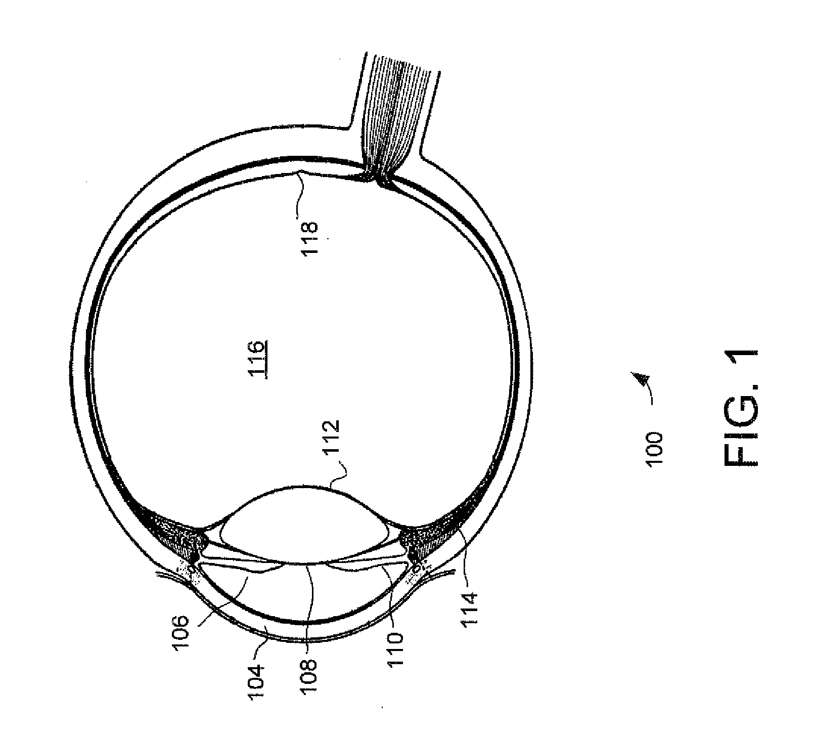 System and method for ocular aberrometry and topography using plenoptic imaging