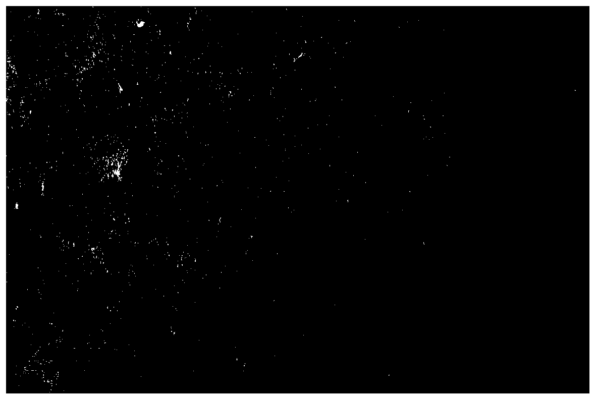 Nanoparticle liquid with oxidase activity and preparation method