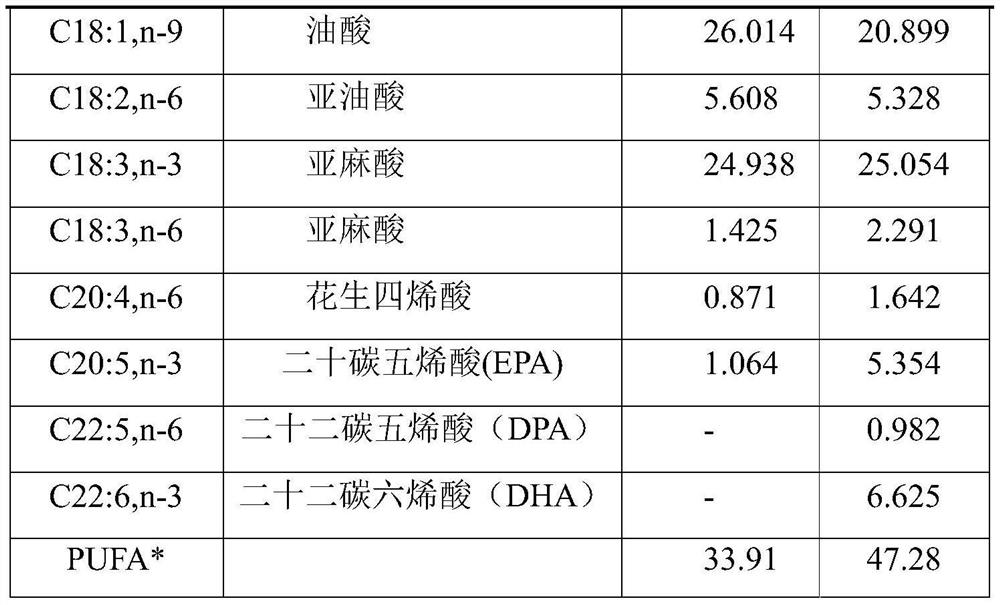 Domestication method of rapid proliferation of Artemia under high temperature and high salinity environment