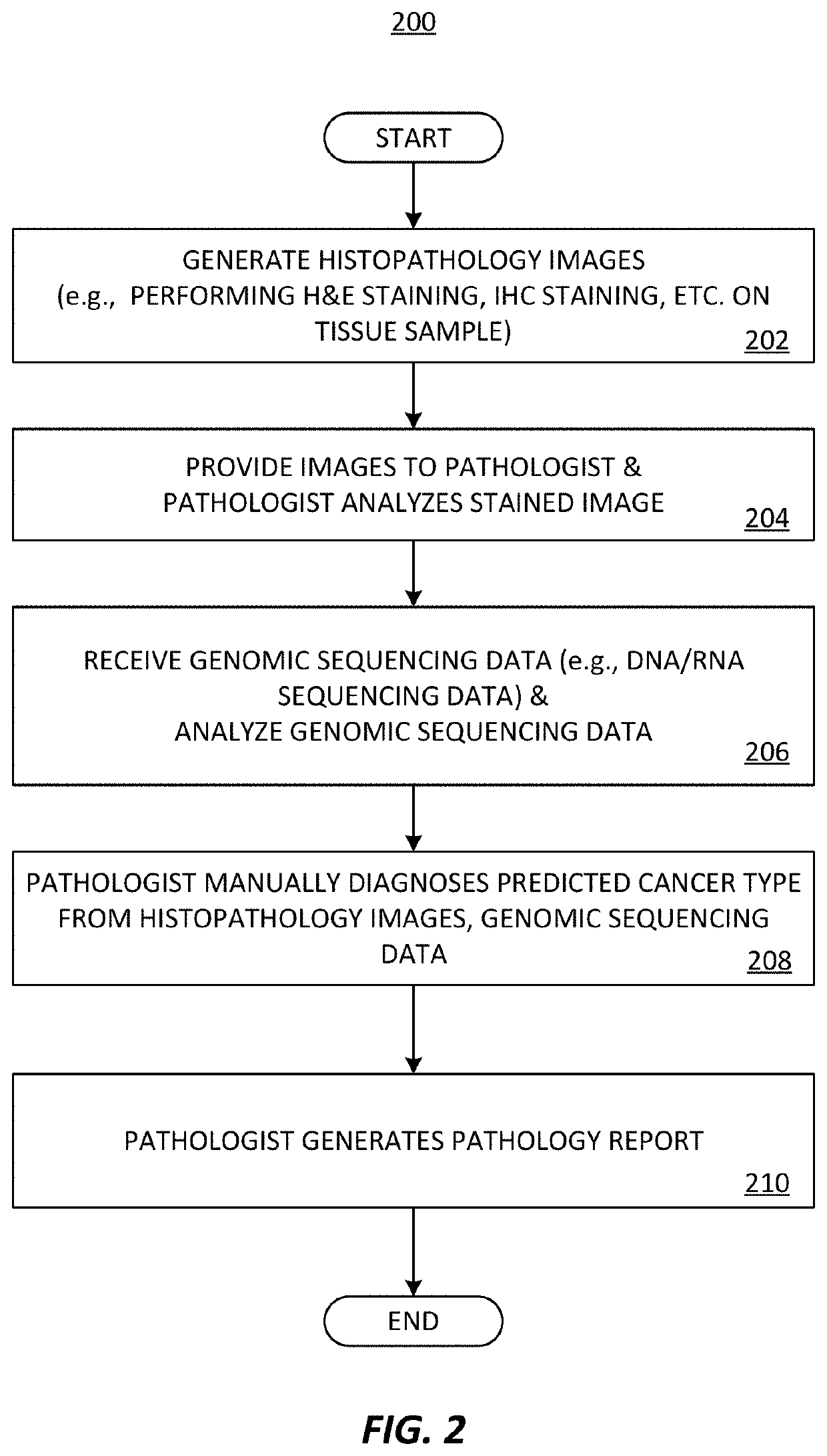 Determining biomarkers from histopathology slide images