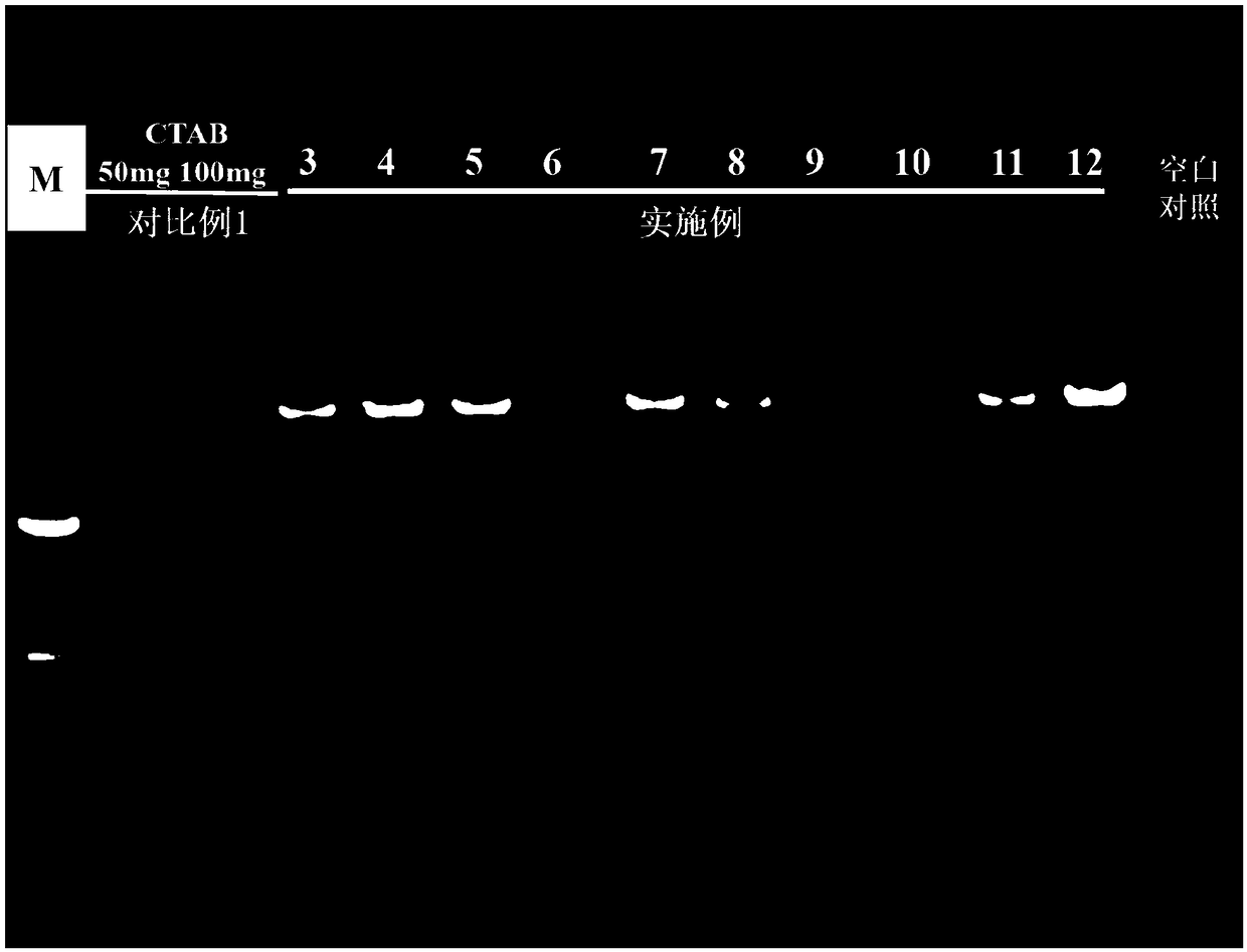 Preparation method of thermomyces PCR template