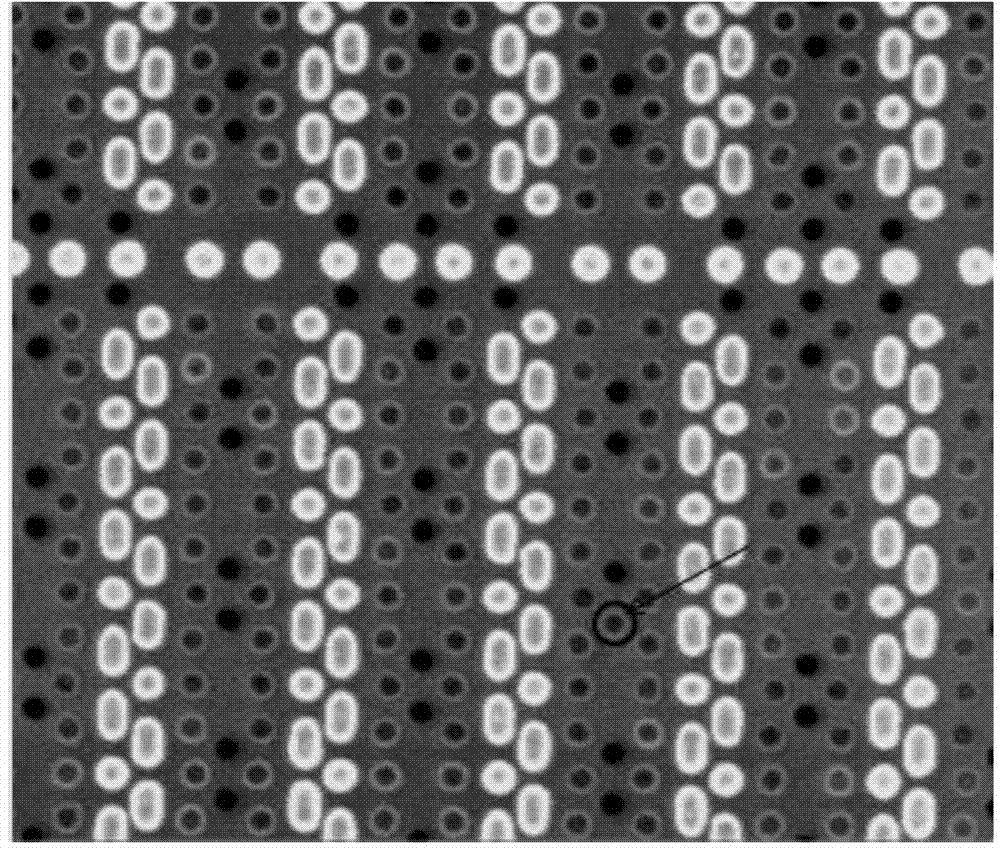 Preparation method and positioning method for transmission electron microscope sample