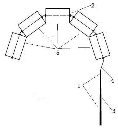 Trunk whitewashing method