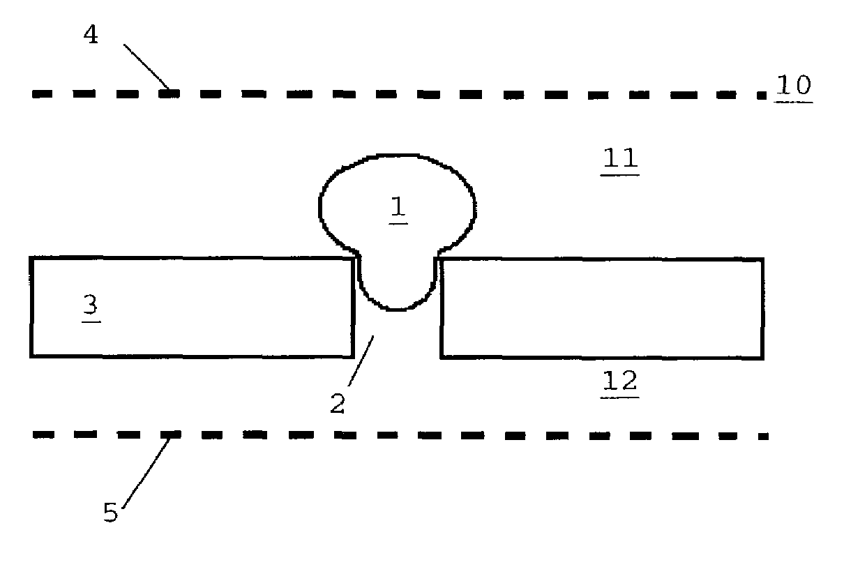 Method and device for electroporation of biological cells