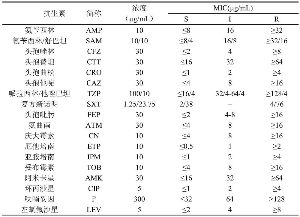 Application of chelerythrine in inhibiting and clearing biofilm of multi-drug resistant Providencia rettleri