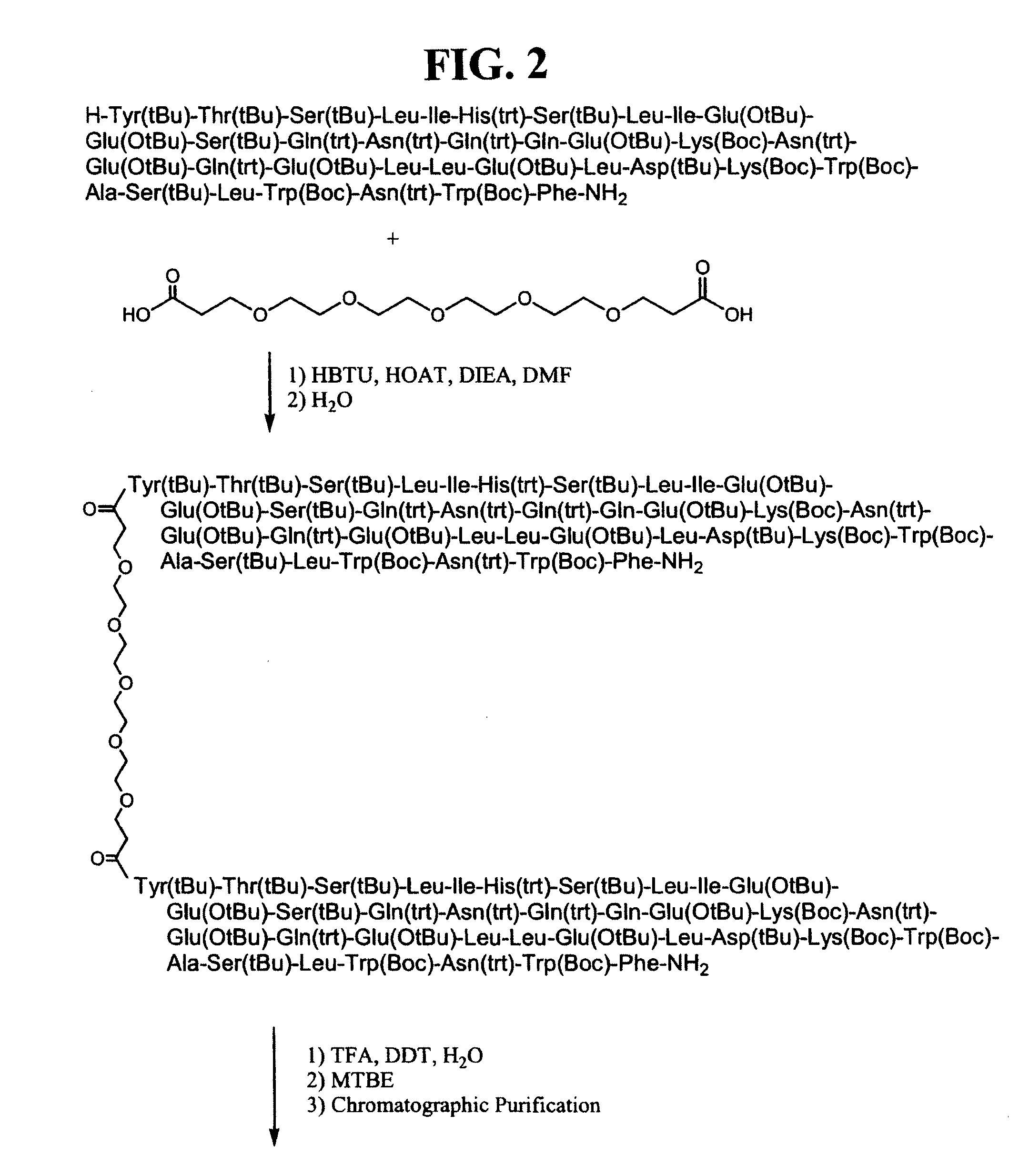 CONJUGATES COMPRISED OF POLYMER AND HIV gp-41-DERIVED PEPTIDES AND THEIR USE IN THERAPY