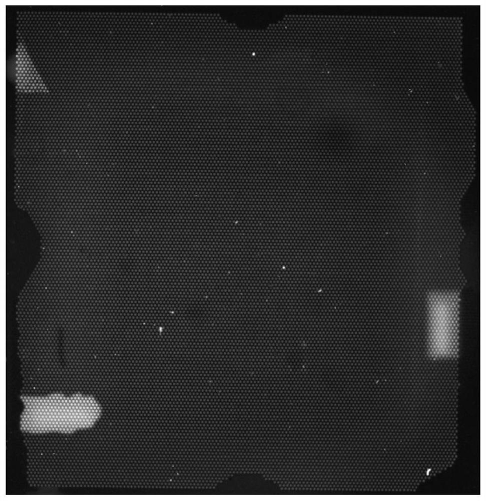 Digital PCR microarray image analysis method