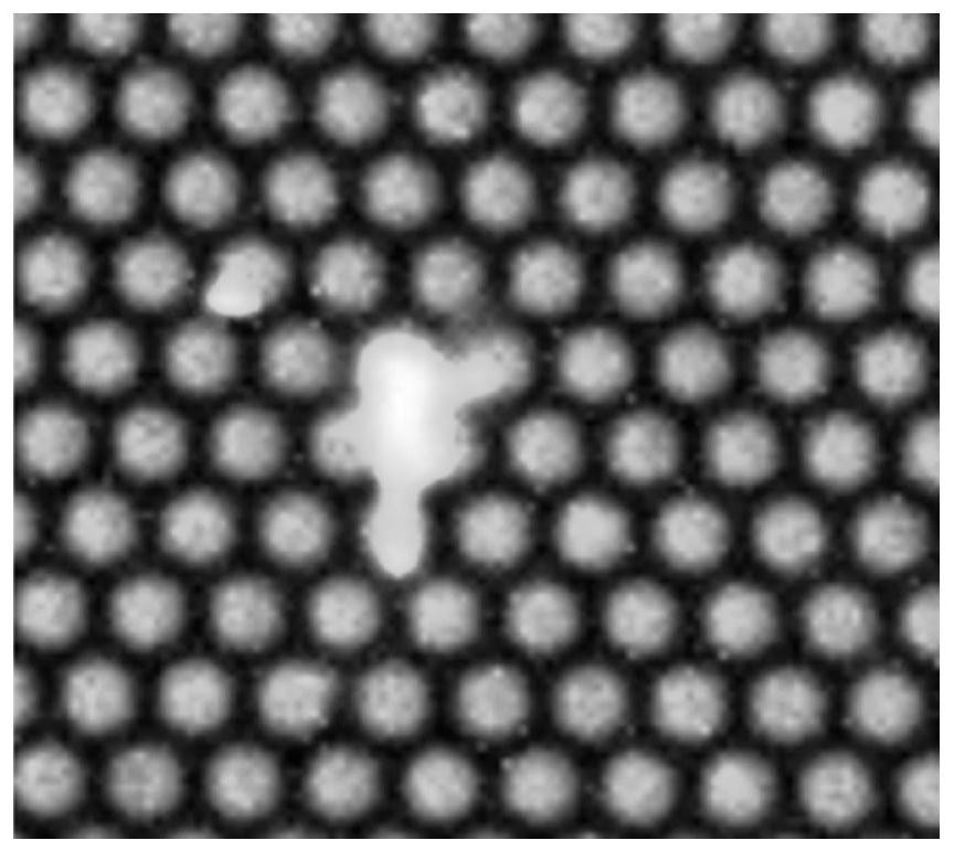 Digital PCR microarray image analysis method