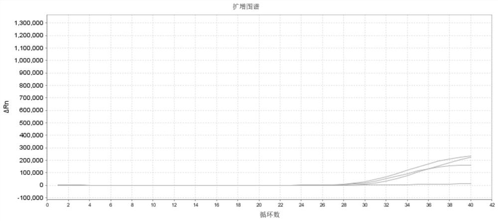 Primer probe combination and kit for early diagnosis, metastasis early warning and prognosis evaluation of prostate cancer and application of primer probe combination and kit