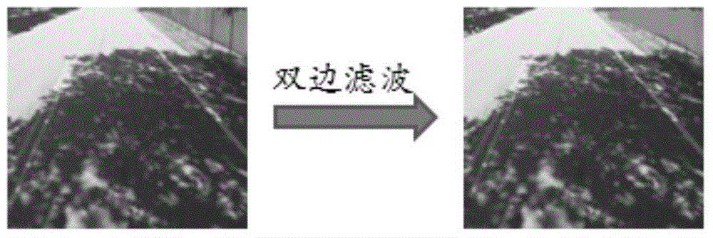 Maximum entropy-based road shadow suppression method