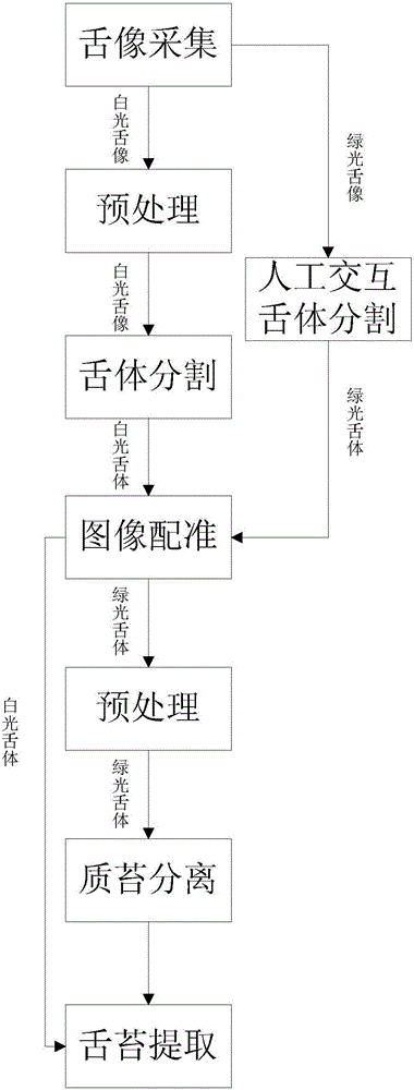 Traditional Chinese medicine tongue body and tongue coating separation method based on green monochromatic source