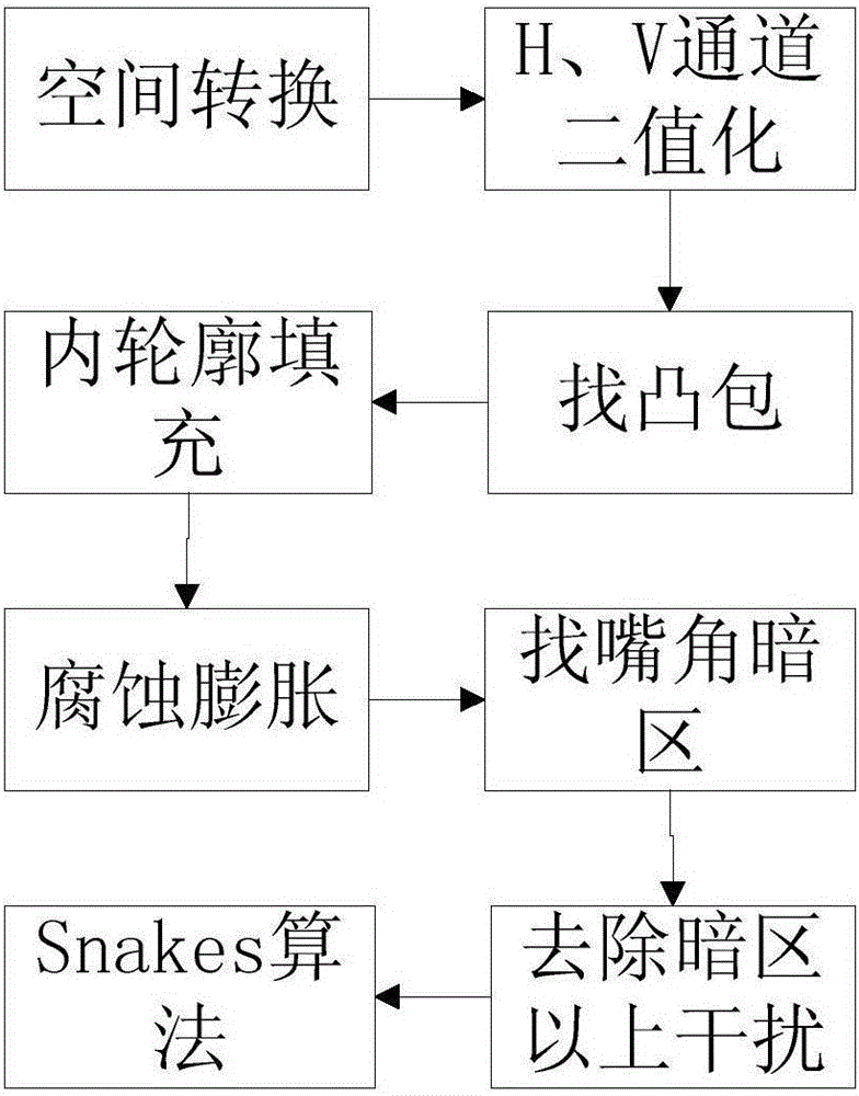 Traditional Chinese medicine tongue body and tongue coating separation method based on green monochromatic source