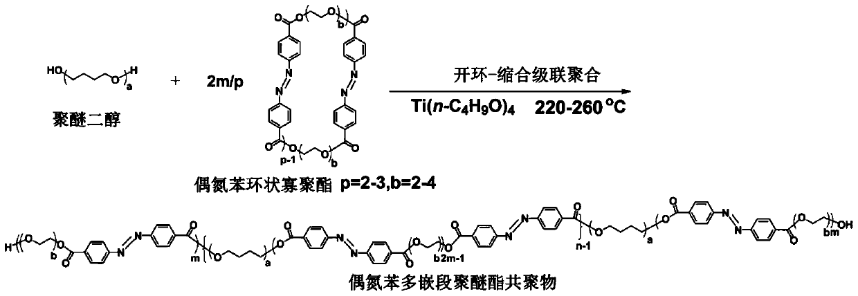 A kind of azophenyl polyether ester multi-block copolymer elastomer with photodeformation performance and preparation method thereof