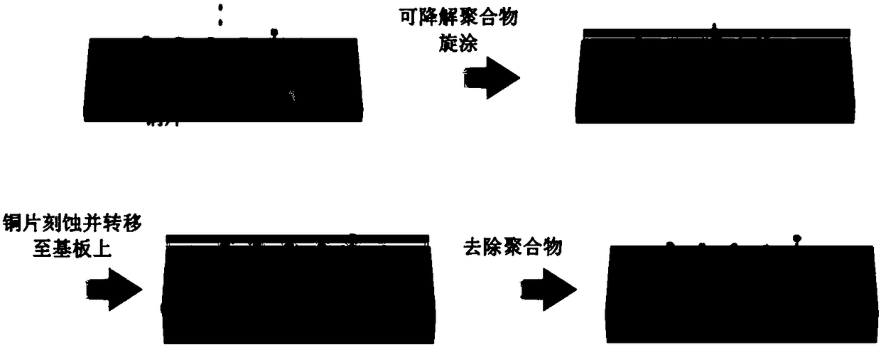 Method for transferring single graphene layer based on degradable polymer