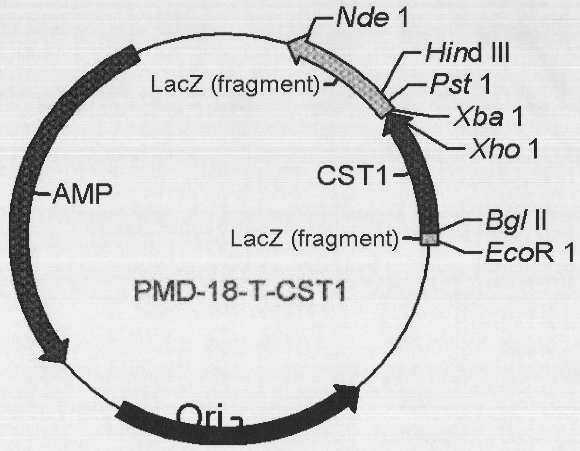 New molecular marker for diagnosis and prediction of gastrointestinal tumor