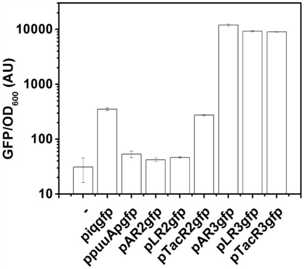 A class of tunable putrescine bioluminescence sensor and its application