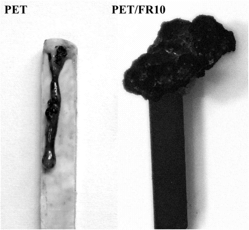 High temperature crosslinked flame retardant with Schiff base and phosphoryl (phosphonyl) structure, preparation method and application thereof