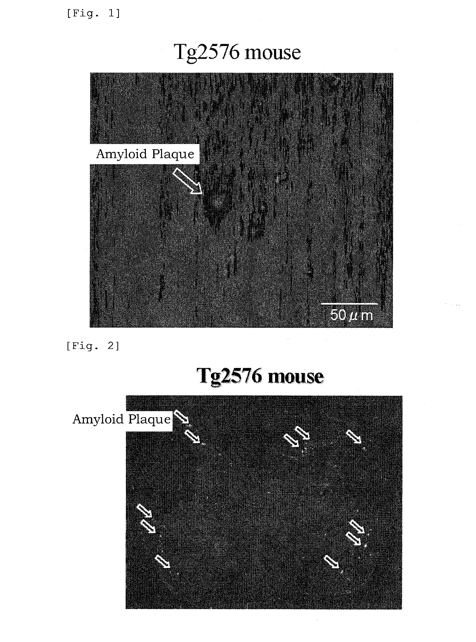 Benzoxazole derivatives