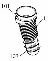 Bionic dental implant and abutment and seminal root thereof