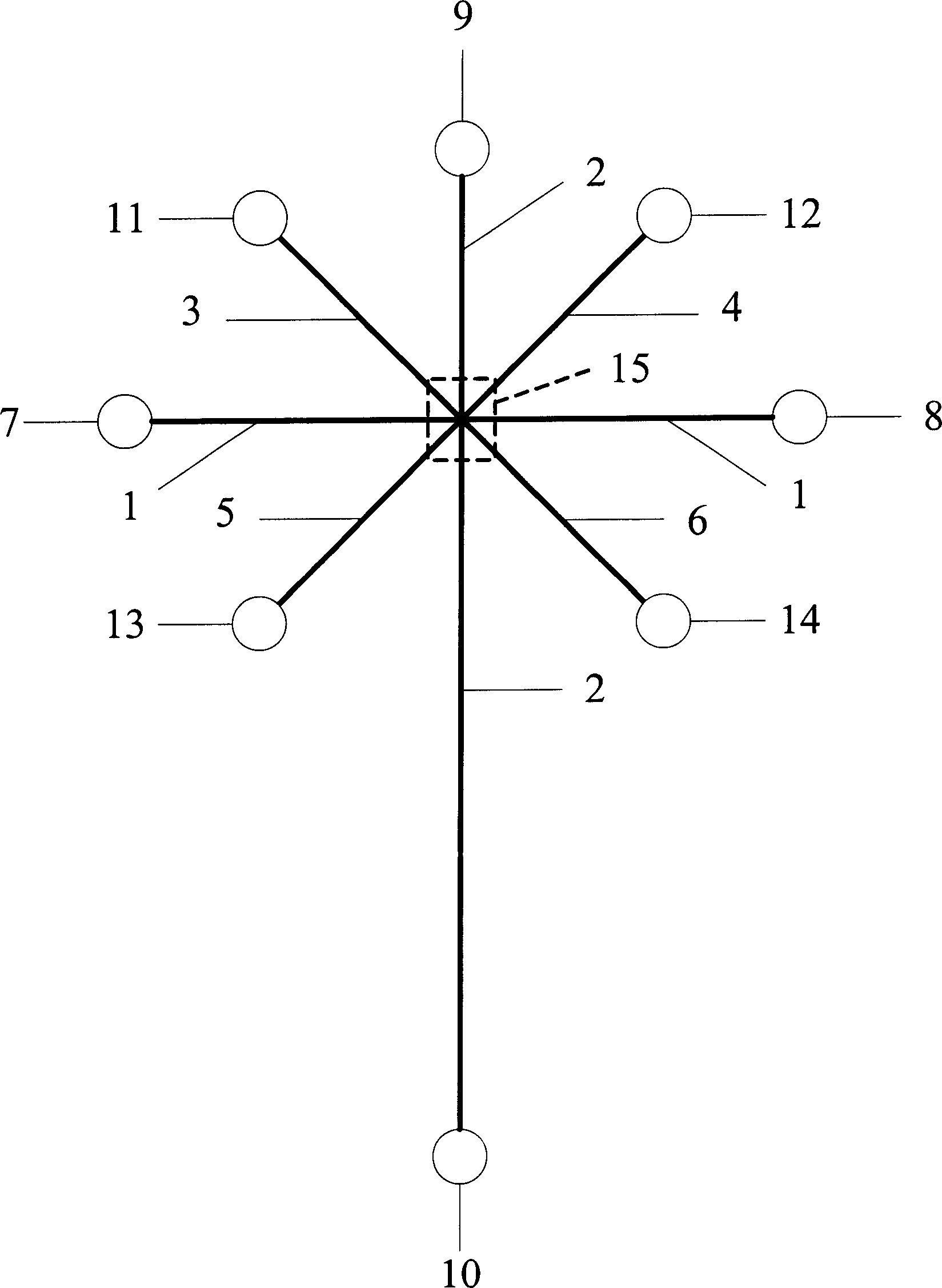 Capillary electrophoretic chip with extraining sampling and its using method