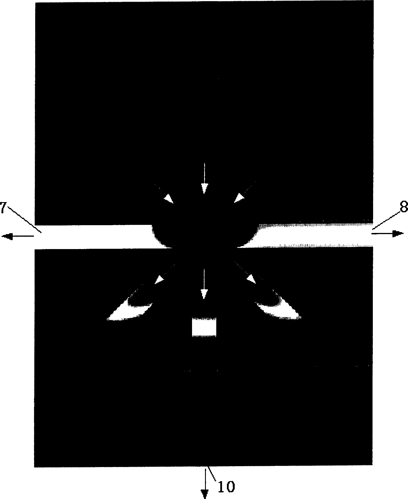 Capillary electrophoretic chip with extraining sampling and its using method