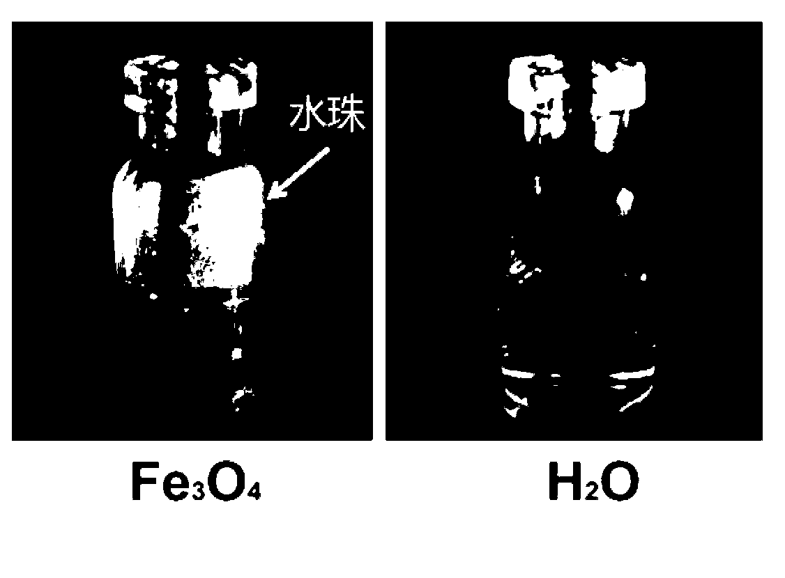 Application of ferroferric oxide as photo-thermal sensitive material