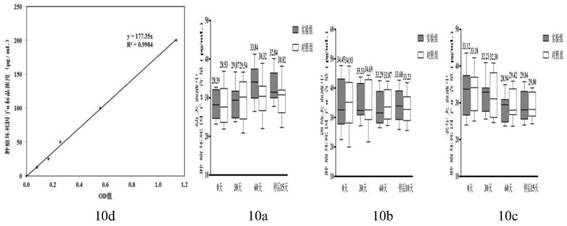 A compound probiotic agent for improving the immunity of pet dogs and its preparation and application