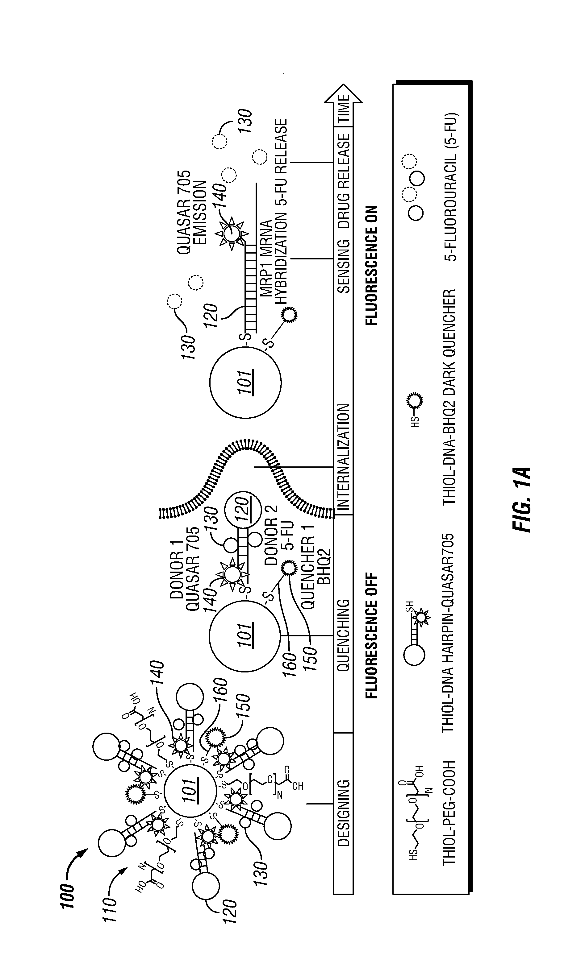 Theranostic Nanoprobes for Overcoming Cancer Multidrug Resistance and Methods