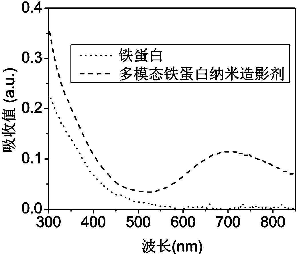 Multi-mode ferritin nanometer contrast agent as well as preparation method and application thereof