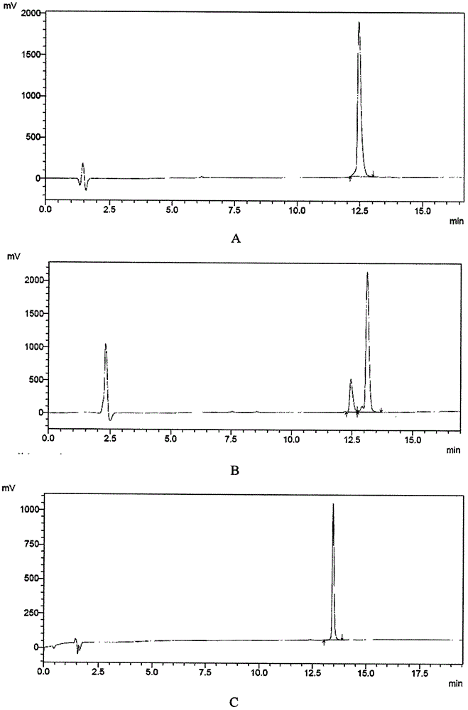 Conjugates of human insulin and analogues with sustained hypoglycemia and high receptor binding