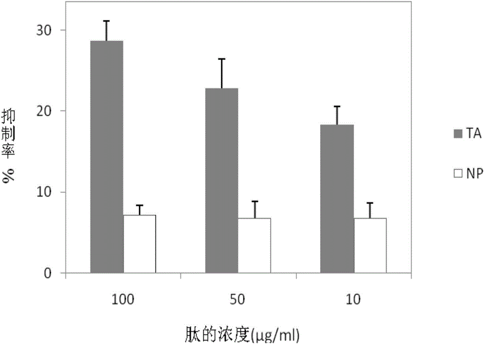 blys antagonistic peptide, plasmid containing ta-fc fusion protein gene and ta-fc fusion protein