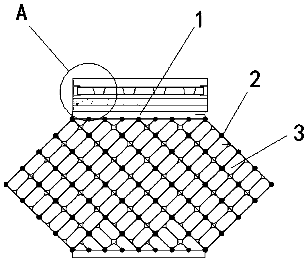 Multi-stage sloping field protection and water and soil conservation system