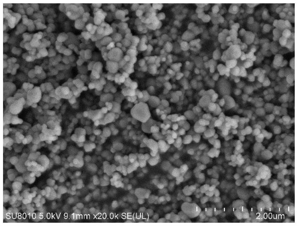 Composite chitosan coating film for poultry egg preservation as well as preparation method and application thereof