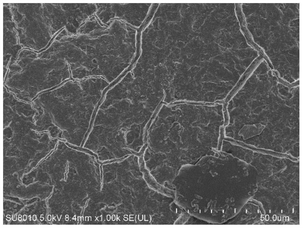 Composite chitosan coating film for poultry egg preservation as well as preparation method and application thereof